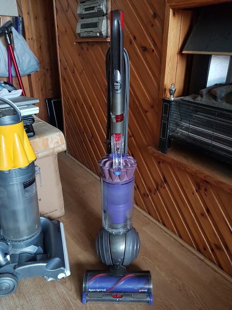 purple Dyson lightball animal UP22 